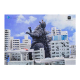 Hiya Toys - Godzilla vs. Mechagodzilla: Godzilla (2002) Exquisite Basic Series