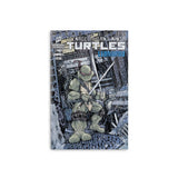 McFarlane Toys Teenage Mutant Ninja Turtles IDW Leonardo 5-Inch Action Figure