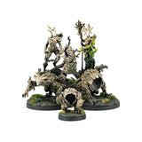 Epic Encounters: Forest of the Damned D&D 5e Adventure Box