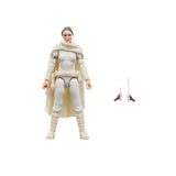 Hasbro Star Wars The Vintage Collection Padm Amidala 3.75-Inch Action Figure
