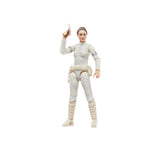 Hasbro Star Wars The Vintage Collection Padm Amidala 3.75-Inch Action Figure