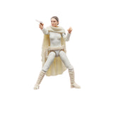 Hasbro Star Wars The Vintage Collection Padm Amidala 3.75-Inch Action Figure