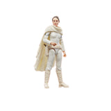 Hasbro Star Wars The Vintage Collection Padm Amidala 3.75-Inch Action Figure