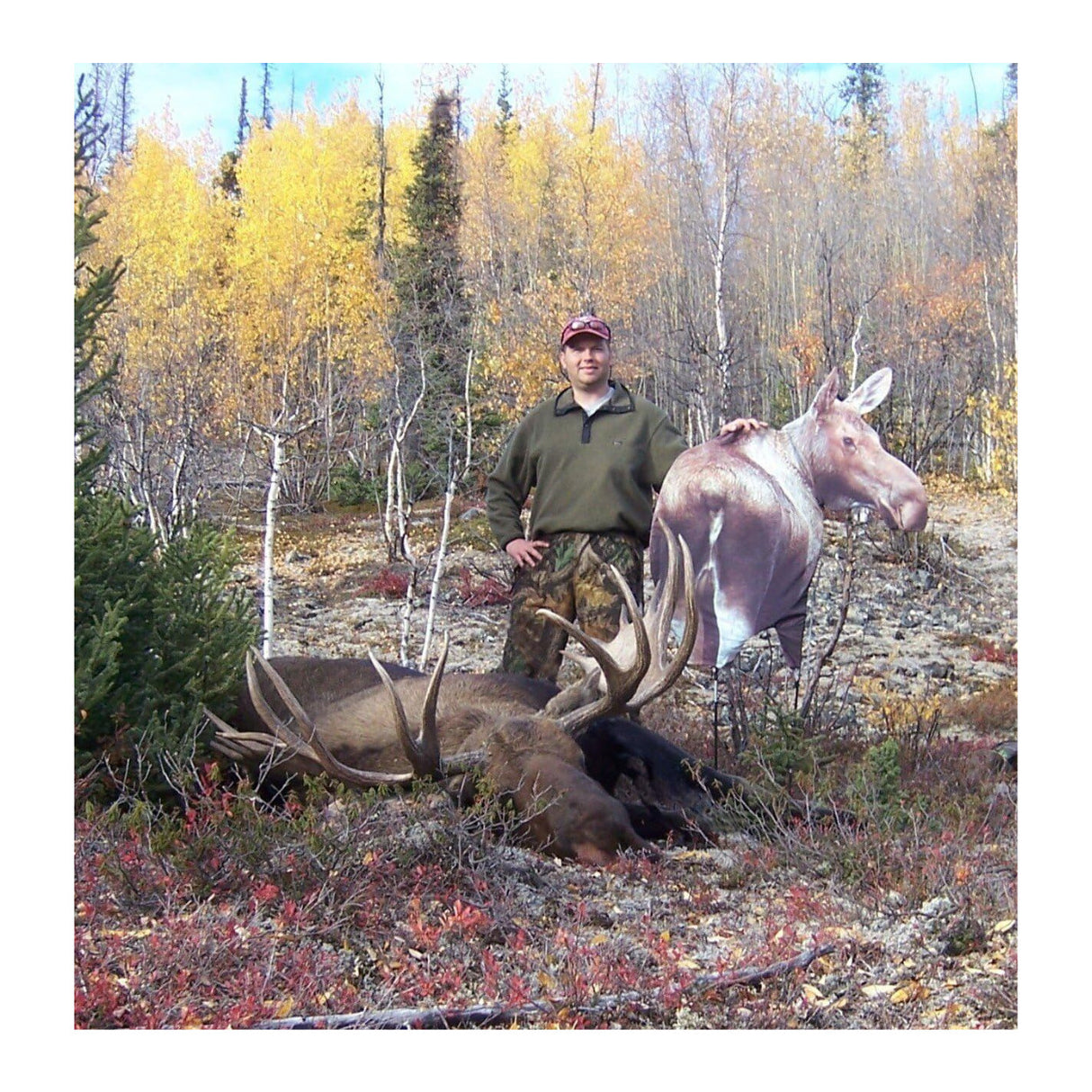 Montana Decoy Moose II, Brown