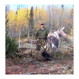Montana Decoy Moose II, Brown