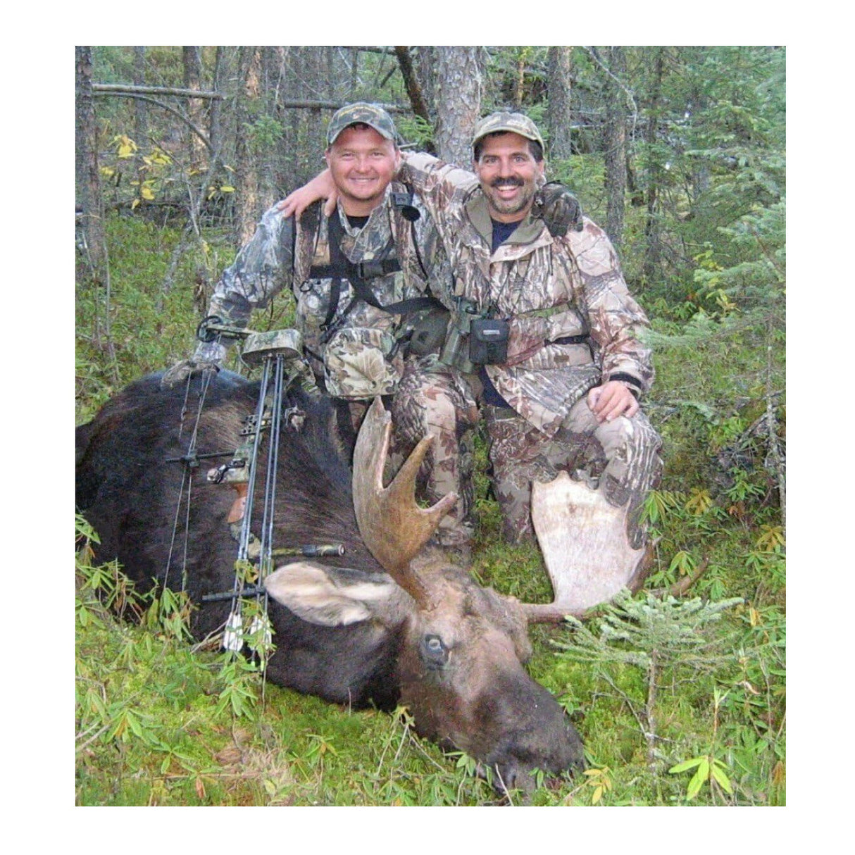 Montana Decoy Moose II, Brown