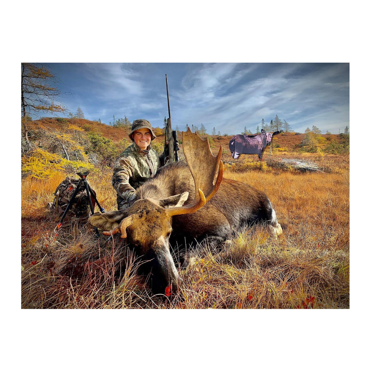 Montana Decoy Moose II, Brown