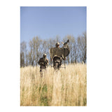 Miss Muley by Montana Decoy