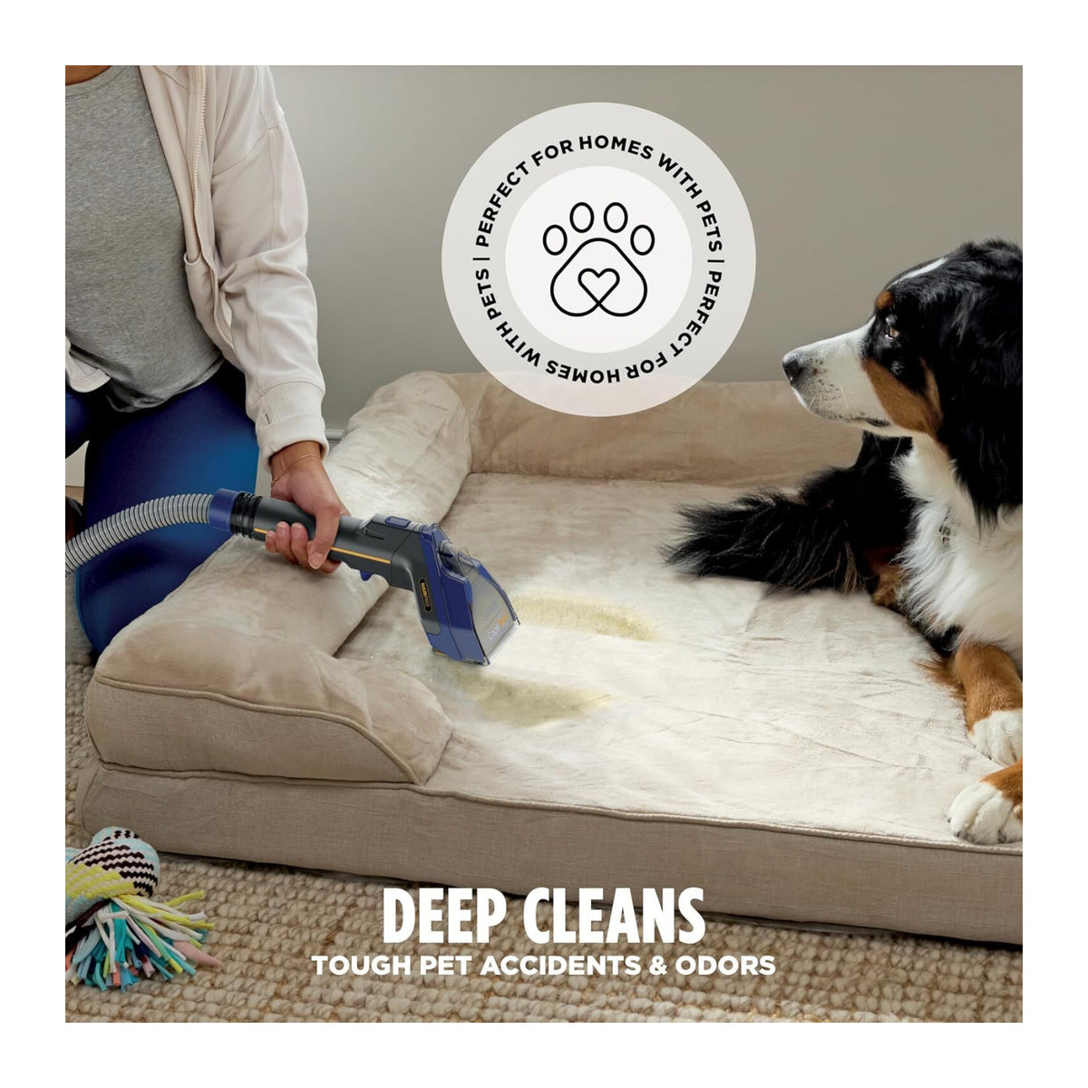 Shark EX251BRN CarpetXpert HairPro Carpet and Built-in Stain Cleaner with Tools and Cleaning Formula