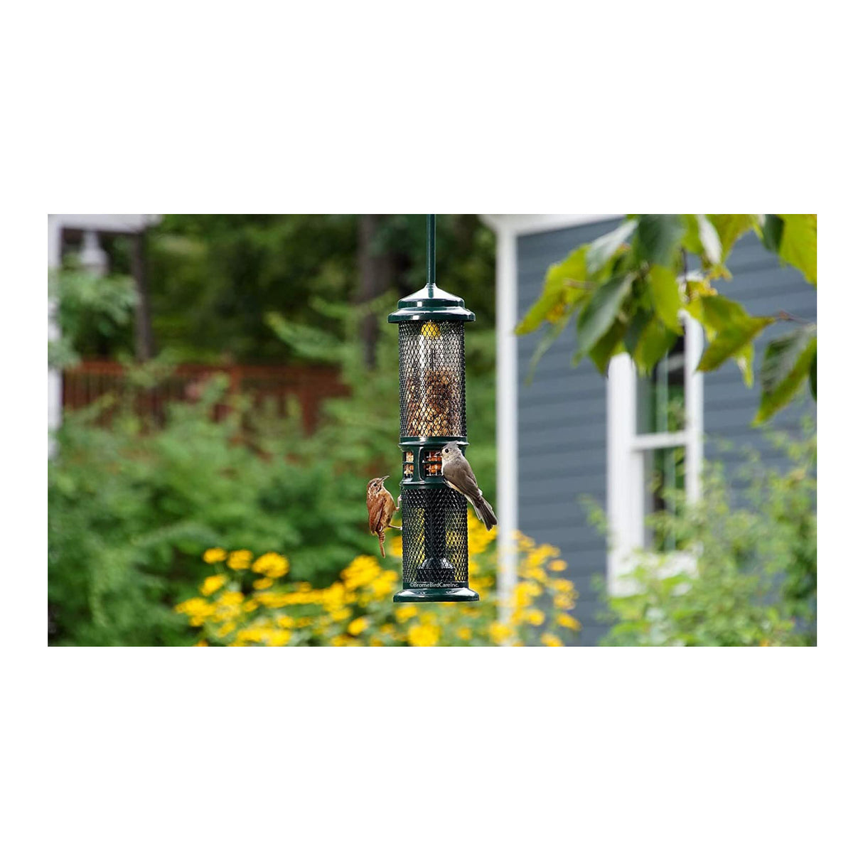 Squirrel Buster Nut Feeder Squirrel-Proof Bird Feeder for Nuts and Fruit, Two Meshes