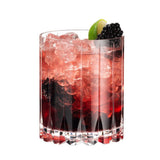 Riedel Bar DSG Retail Double Rocks Glass