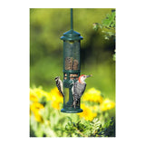 Squirrel Buster Nut Feeder Squirrel-Proof Bird Feeder for Nuts and Fruit, Two Meshes